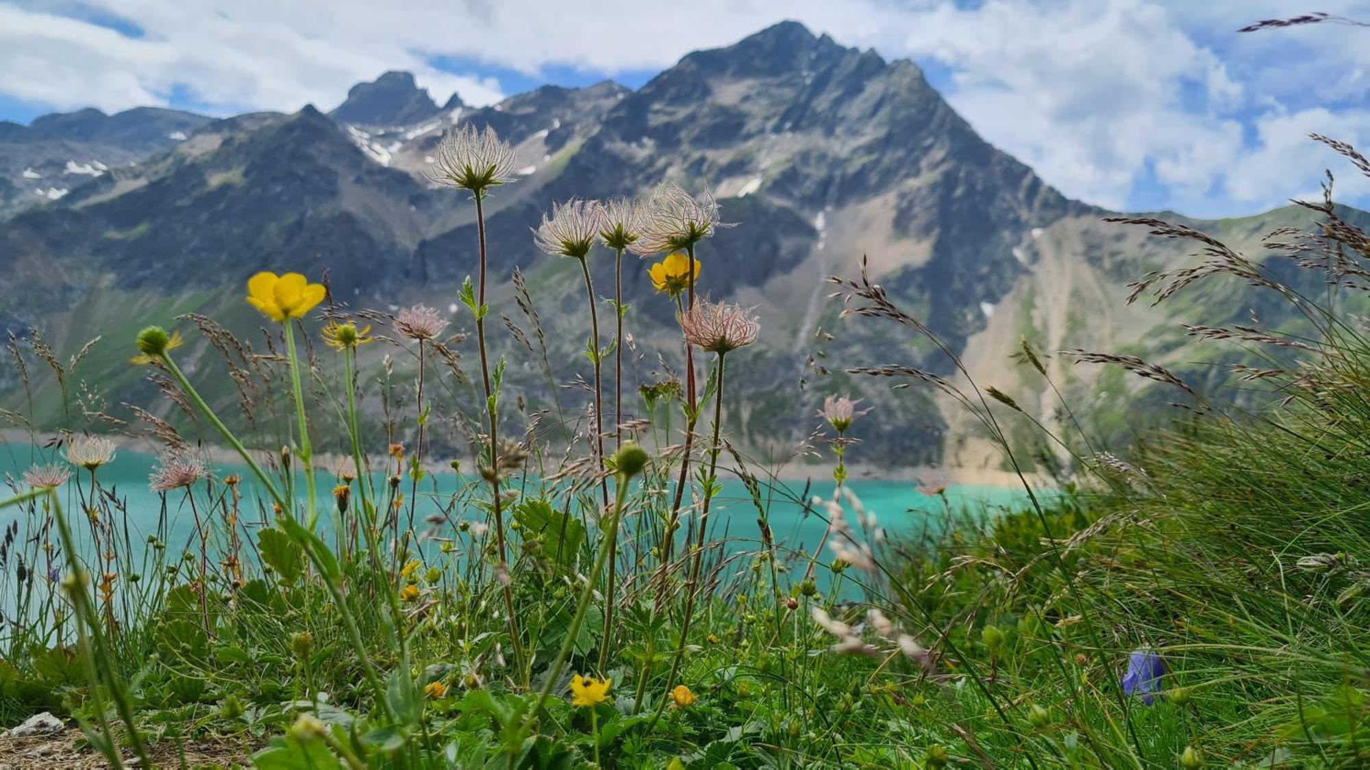 Gaestehaus Landhaus Tyrol 그리스 임 젤라인 외부 사진